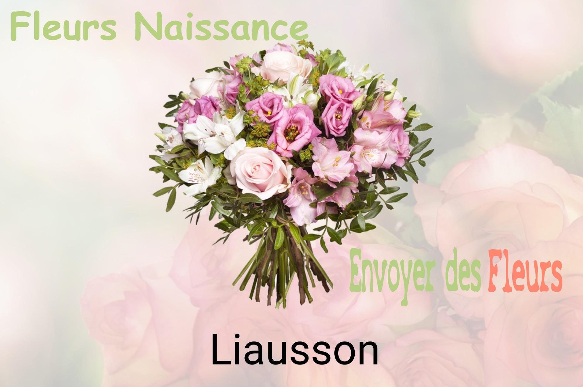 Bouquet de fleurs de naissance livré à Liausson
