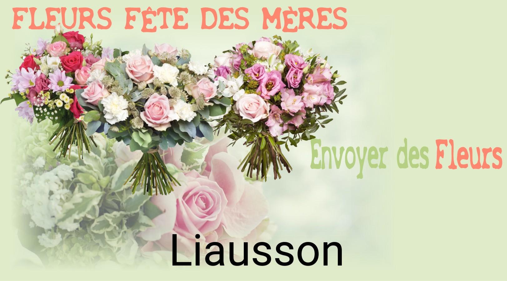 Bouquet de Fête des Mères livré à Liausson